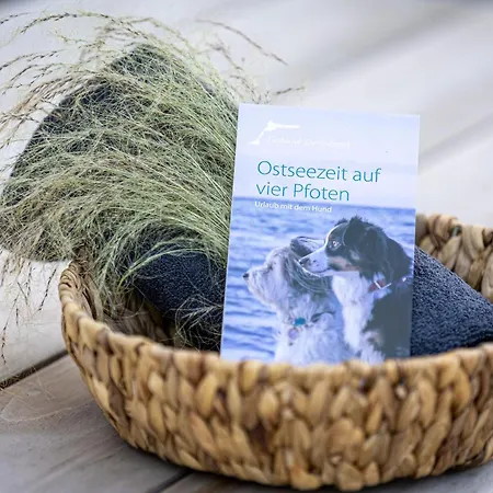 Lacus Stilvolle Auszeit Am Wasser Und In Der Natur, Hunde Willkommen Ferienhaus *